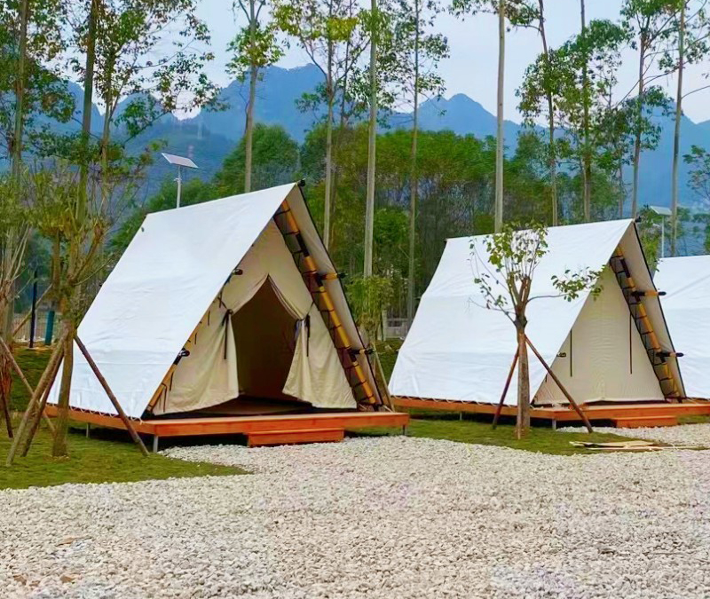 1713159720111389.jpg 1230.jpg